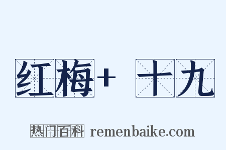 红梅+十九是什么意思的图片